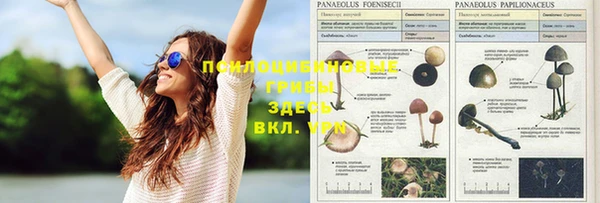 бошки Абаза